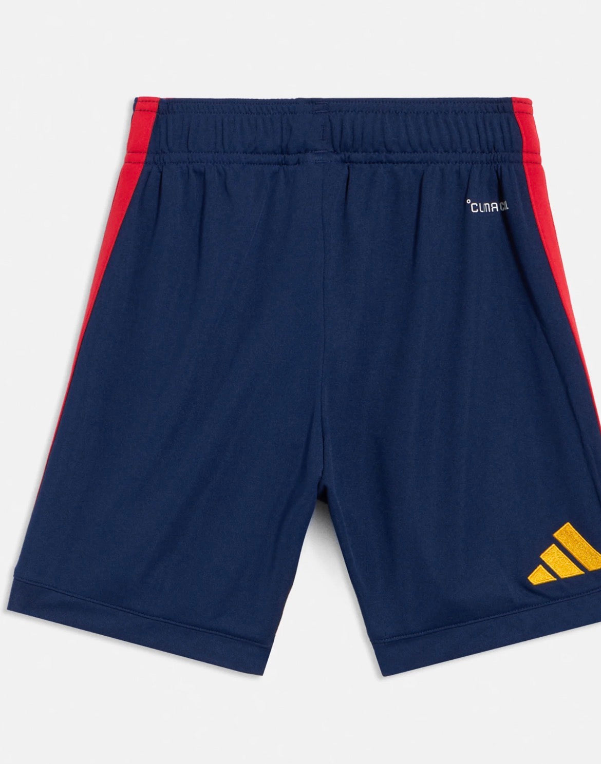 adidas Performance
SPAIN 26 AWAY  SHORTS - Nationalmannschaft -home white